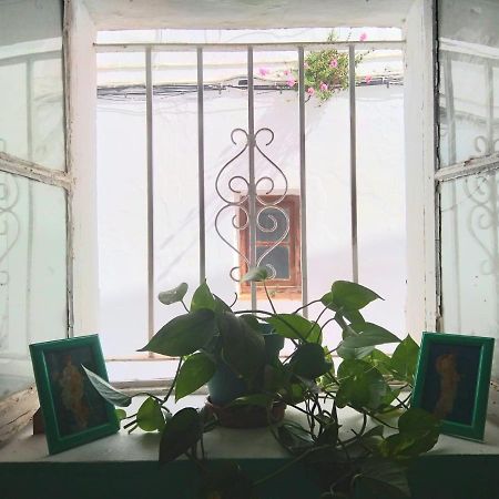 Villa Merced Vejer de la Frontera Exteriör bild